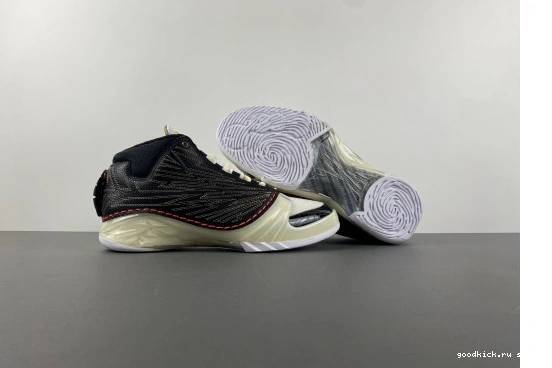 TITAN  Jordan  CZ6222-001 CZ6222-001 23 0412